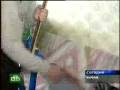 videos de oldest_rocker.flv