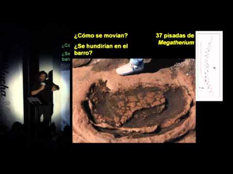 Imagen de previsualización de YouTube