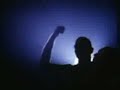 seatbelts live