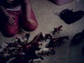 Ponies and Figure Movie part 2