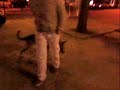 moi moonwalk