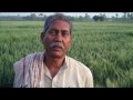 Farmer BIHAR.wmv