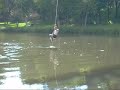 Pêndulo no jordão Pêndulo no jordão