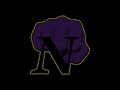 NForce Hoops PacRim Basketball Highlights