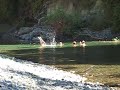 Girls Skinny Dipping - 1