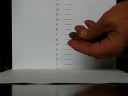 mikromakro plus video 1