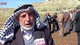 زيتون حزما يواجه الإستيطان