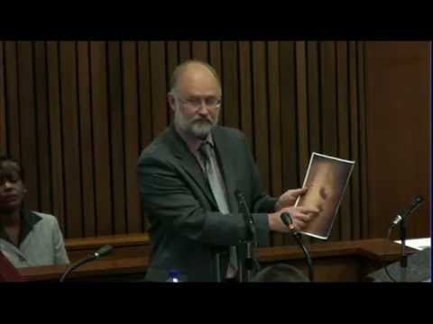 Oscar Pistorius Trial: Wednesday 16 April 2014, Session 1