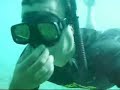 just-feelin-good-free-divingsandy-beach-remixed.html