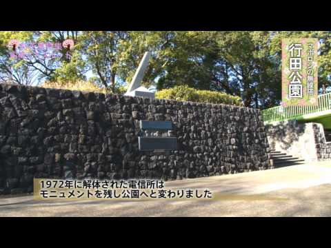 アドスポットお花見特集-行田公園-