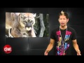 Apple Byte: Your iPhone 5 won't kill you