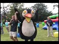 New Its a knockout video