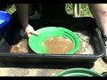 THE SOUTHERN PROSPECTOR SHOW-    PAN GOLD