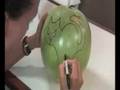Citrouille en melon d'eau