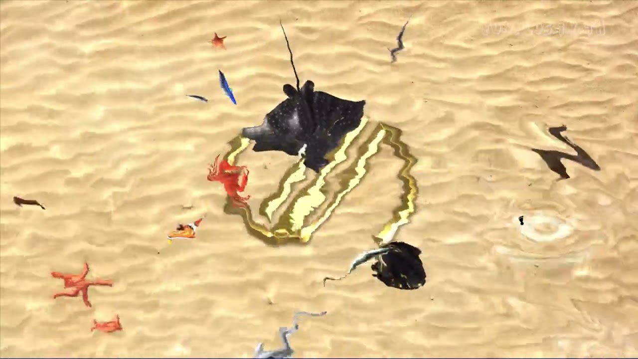 Interactive Floor - Pond ocean - by funplus.in.th