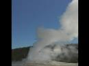 Old Faithful Old Faithful