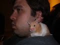 IM MEMORY OF GERTRUDE STABILE RIGAMER