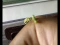 funny worm funny worm