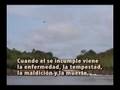 Otra Biodiversidad 1/2 Ver Video