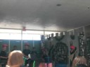 Camp Sheerwood Castle- Griffins