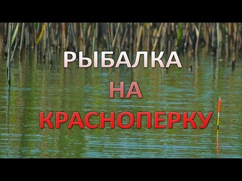 YouTube Трейлер