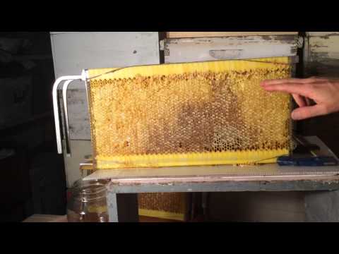 how to harvest hive energy