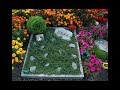 Der Tierfriedhof Der Tierfriedhof