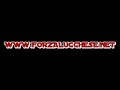 www.forzalucchese.net