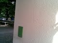 Wanastowi Vjecy - zvukova zkouska 2 (Plzen) Wanastowi Vjecy - zvukova zkouska 2 (Plzen)