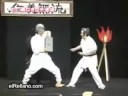 karate matrix as