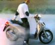 Tommy (cusutor) recale