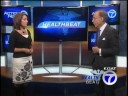 Healthbeat - Gingko Biloba Healthbeat - Gingko Biloba