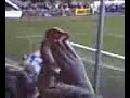 SC Paderborn 07 vs. Eintracht Frankfurt