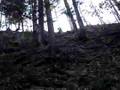 videos de JOHN DEERE TAKING DOWN A MOUNTAIN TAKE 2