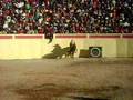 caballo  bailando en cotahuasi