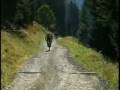 videos de Mountainbiken im Montafon (31 Routen mit 860 km)