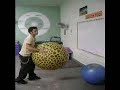 Monkey esta loco