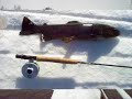Flyfishing in winter finland suomi Lohima Flyfishing in winter finland suomi Lohima