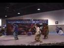MCTLA at LA Times Travel Fair