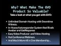 GVO GlobalVirtualOpportunities