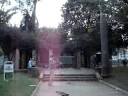 passeando de helicoptero