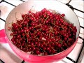 Red currant jelly