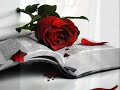 هيثم نبيل ماشى لوحدى.wmv