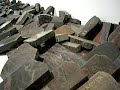jan fabre artist at verbeke foundation   belgium