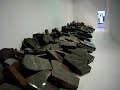 jan fabre artist at verbeke foundation   belgium