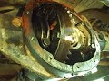 Dana 35
