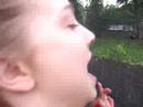 Stupid Fly! Stupid Fly!