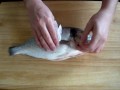 Conservation du poisson frais - Ma Cuisine Japonaise