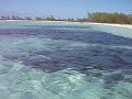 Harbour Cay Kiting