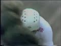 Round 2 1982 World Pro Sprint Final Nakano v Singleton